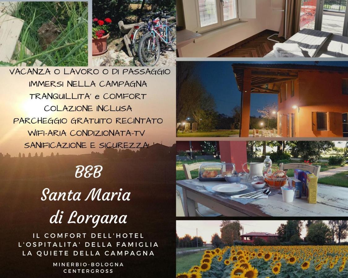 Santa Maria Di Lorgana Bed & Breakfast Minerbio Luaran gambar