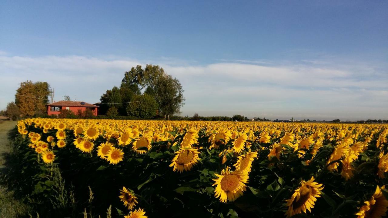 Santa Maria Di Lorgana Bed & Breakfast Minerbio Luaran gambar